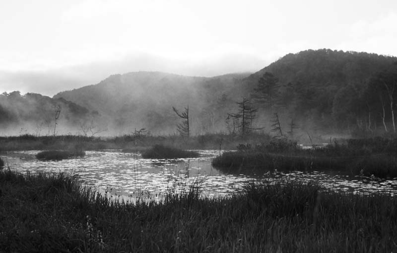 fotografia, materiale, libero il panorama, dipinga, fotografia di scorta,Silenzio della mattina, stagno, albero, montagna, nebbia