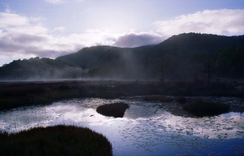 fotografia, materiale, libero il panorama, dipinga, fotografia di scorta,Indaco naturale di tempo di sveglia, stagno, albero, montagna, nebbia