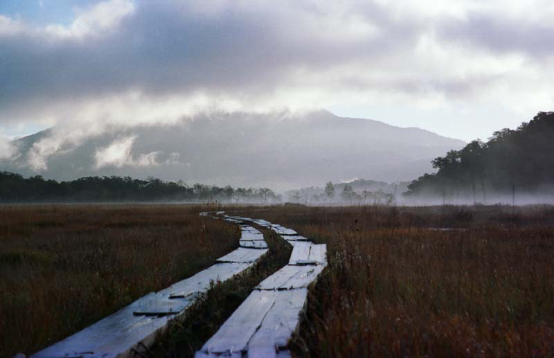 photo, la matire, libre, amnage, dcrivez, photo de la rserve,Refus contre le dernier arrt, ciel, arbre, montagne, brouillard