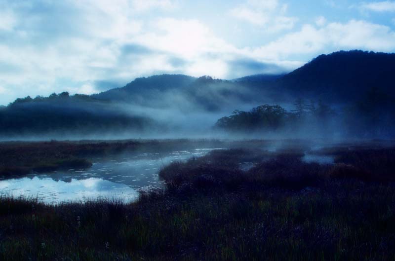 photo,material,free,landscape,picture,stock photo,Creative Commons,Pale blue robe, pond, tree, mountain, fog