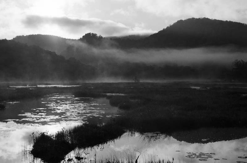 photo,material,free,landscape,picture,stock photo,Creative Commons,Surface of a morning pond, pond, tree, mountain, fog