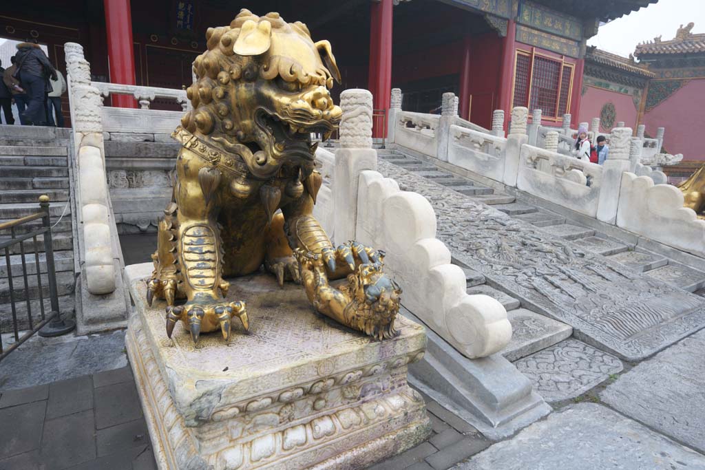 fotografia, materiale, libero il panorama, dipinga, fotografia di scorta,Citt Proibita oro dipinto leone statue di bronzo, Leone, Femmina, Palazzo, Culla