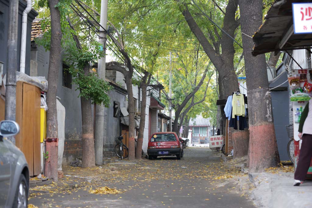 fotografia, materiale, libero il panorama, dipinga, fotografia di scorta,Strade di Pechino, Automobile, Casa privata, Foglie cadute, Lavorando