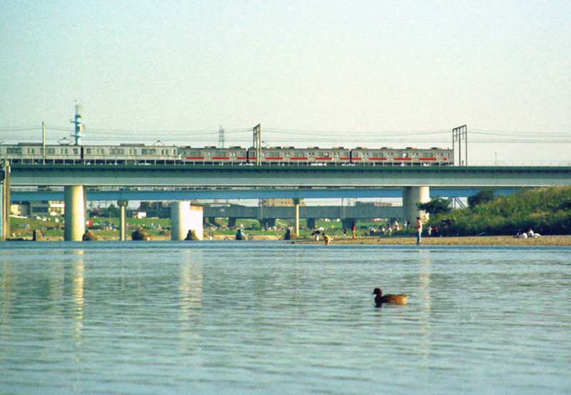 Foto, materieel, vrij, landschap, schilderstuk, bevoorraden foto,Bedroevend namiddag van een eende, Rivier, Trein, Wateroppervlak, 