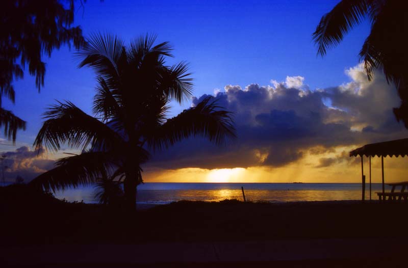 photo,material,free,landscape,picture,stock photo,Creative Commons,Sunset in a paradise, setting sun, cloud, tree, 