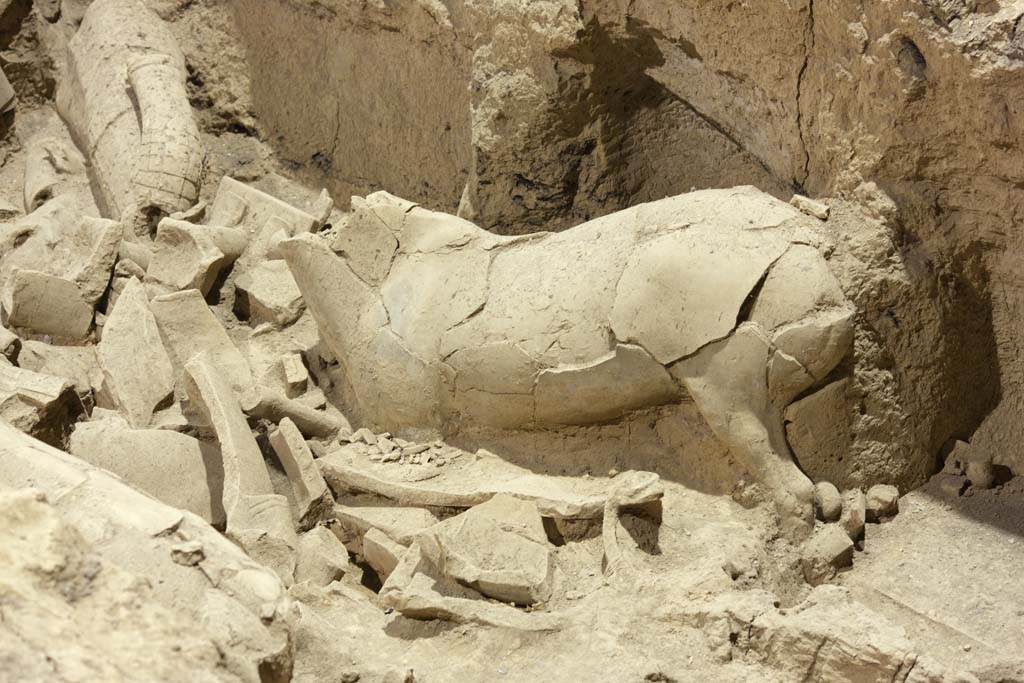 foto,tela,gratis,paisaje,fotografa,idea,Guerreros de terracota en la Piscina N  3, Guerreros de terracota, Personas antiguas, Tumba, Herencia de mundo