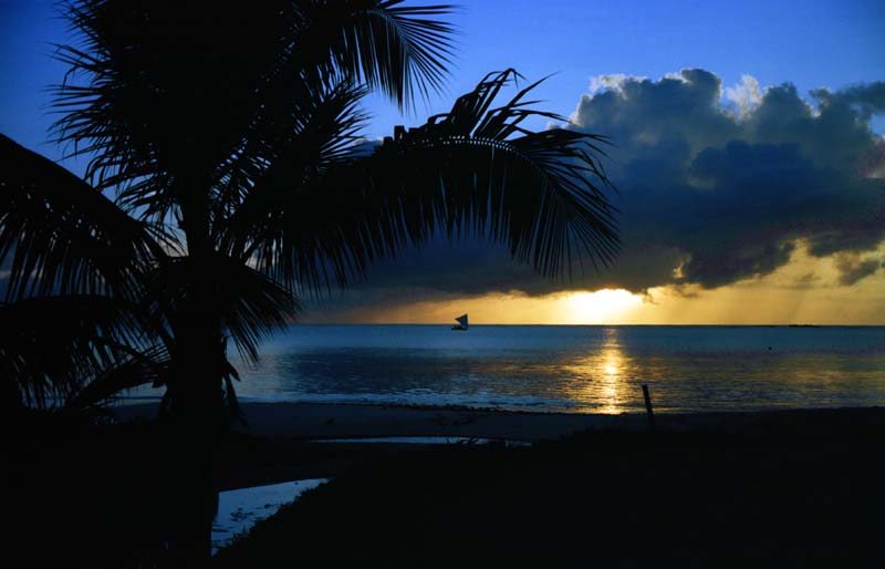 Foto, materiell, befreit, Landschaft, Bild, hat Foto auf Lager,Handflchenbaum und ein Segelboot, das Setzen von Sonne, Wolke, Baum, 