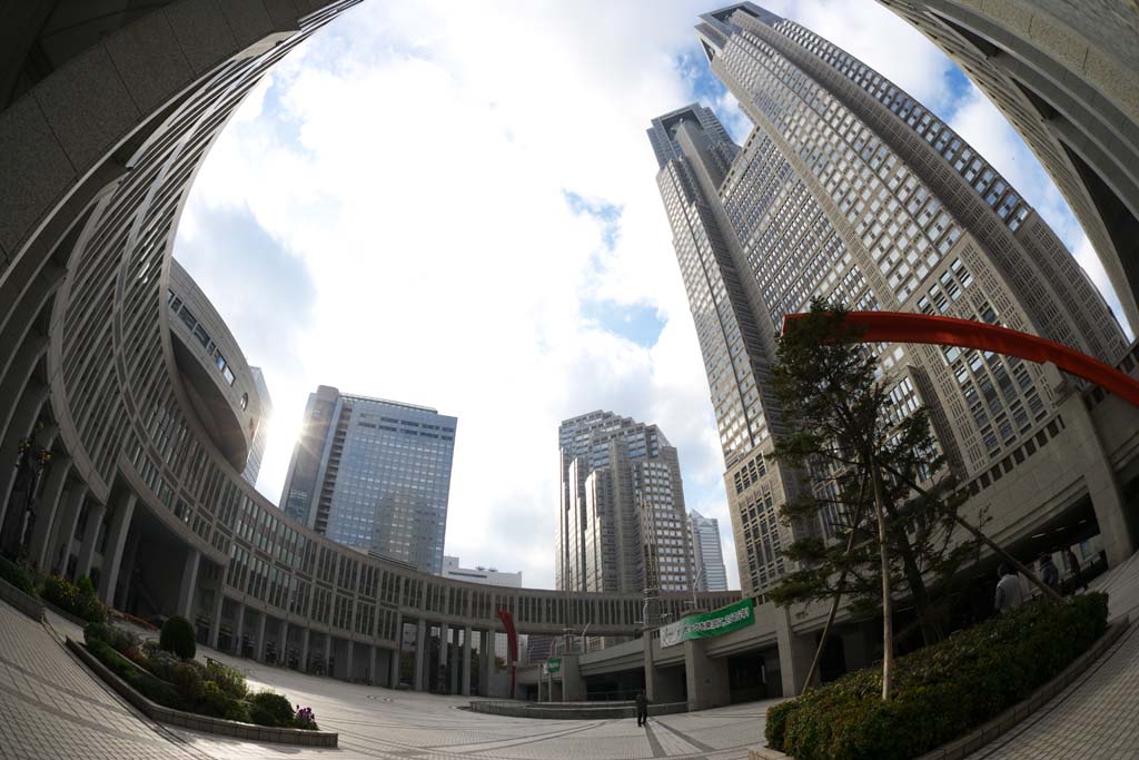 fotografia, materiale, libero il panorama, dipinga, fotografia di scorta,Governo Metropolitano di Tokyo, A molti piani, Subcenter, Tokio governo metropolitano, Costruendo