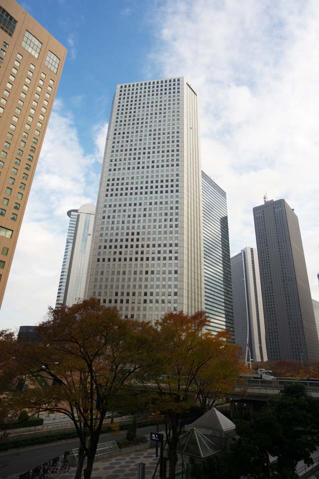 photo,material,free,landscape,picture,stock photo,Creative Commons,Shinjuku Subcenter, High-rise, Subcenter, Tokyo Metropolitan Government, Building