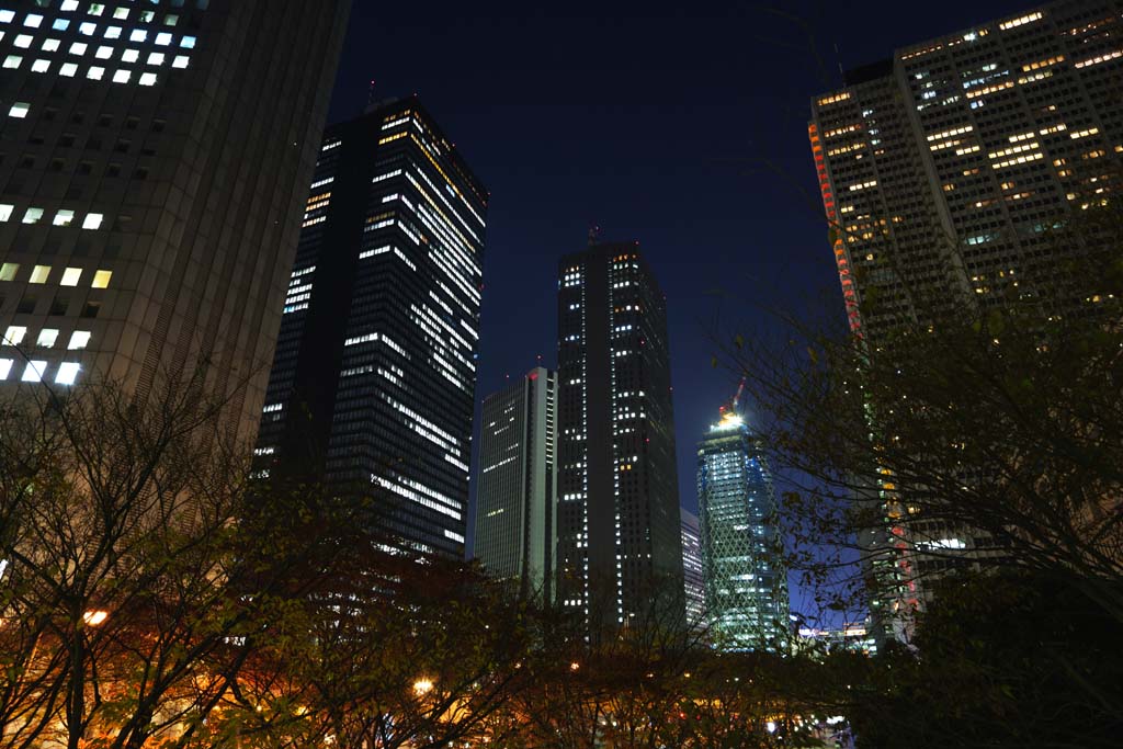 Foto, materieel, vrij, landschap, schilderstuk, bevoorraden foto,Shinjuku bij nacht, Hoog, Subcenter, Tokio Metropolitan Government, Gebouw