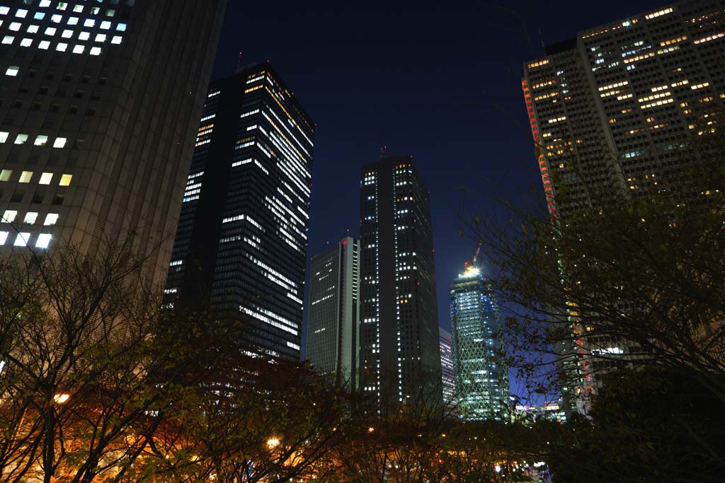 Foto, materiell, befreit, Landschaft, Bild, hat Foto auf Lager,Shinjuku bei Nacht, Hochhaus, Subcenter, Tokyo weltstdtische Regierung, Gebude