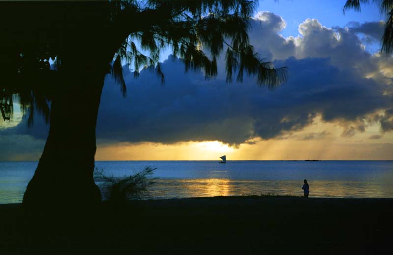 fotografia, materiale, libero il panorama, dipinga, fotografia di scorta,Sera tropicale, sole che mette, nube, albero, 