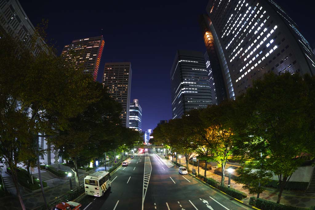 fotografia, materiale, libero il panorama, dipinga, fotografia di scorta,Shinjuku di notte, A molti piani, Subcenter, Scena serale, Costruendo