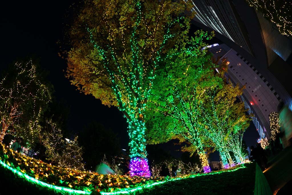 Foto, materieel, vrij, landschap, schilderstuk, bevoorraden foto,Shinjuku bij nacht, Wandelwegen, Maak van het jaar af, RANBURINGUTERASU, Illuminering