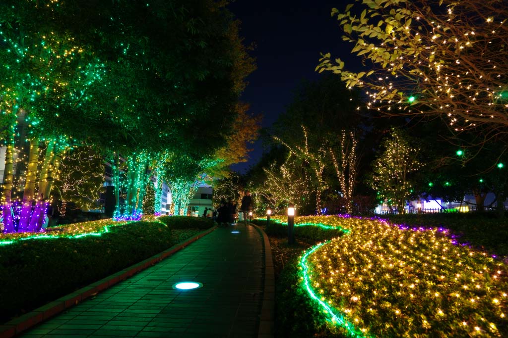 fotografia, materiale, libero il panorama, dipinga, fotografia di scorta,Shinjuku di notte, Passeggiate, Fine dell'anno, RANBURINGUTERASU, Illuminazione