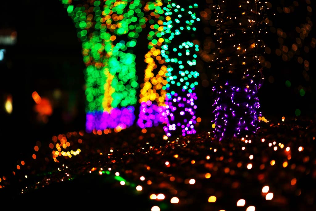 Foto, materiell, befreit, Landschaft, Bild, hat Foto auf Lager,Shinjuku bei Nacht, Promenaden, Ende vom Jahr, RANBURINGUTERASU, Illuminierung