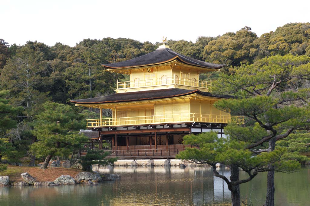 Foto, materieel, vrij, landschap, schilderstuk, bevoorraden foto,Gouden Paviljoen Tempel reliekschrijn Hall, Wereld Heritage, Gouden Paviljoen, Ashikaga Yoshimitsu, Kyoto
