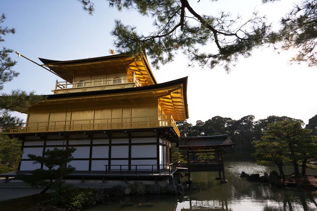 foto,tela,gratis,paisaje,fotografa,idea,Templo de Oro Pabelln relicario Hall, Herencia de mundo, Caseta dorada, Ashikaga Yoshimitsu, Kioto