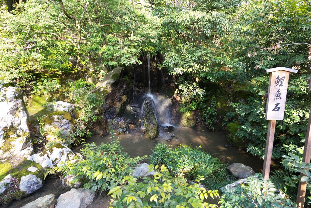 photo, la matire, libre, amnage, dcrivez, photo de la rserve,Pavillon d'Or Temple de Longmen Falls, Hritage Mondial, Pavillon d'or, Ashikaga Yoshimitsu, Kyoto