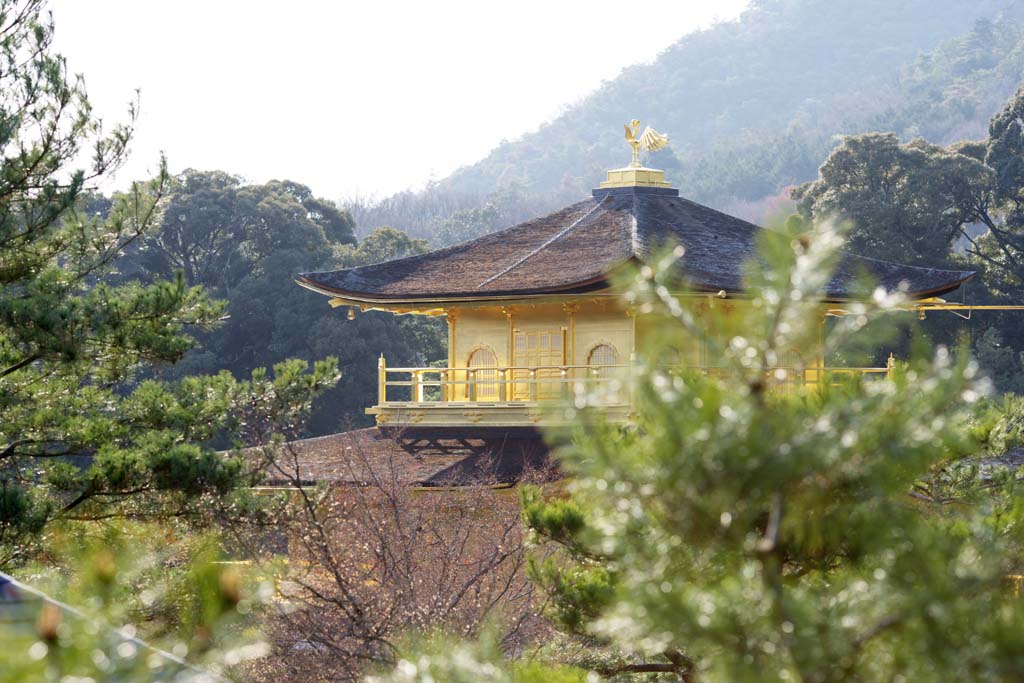 photo,material,free,landscape,picture,stock photo,Creative Commons,Golden Pavilion Temple reliquary hall, World Heritage, Golden Pavilion, Ashikaga Yoshimitsu, Kyoto