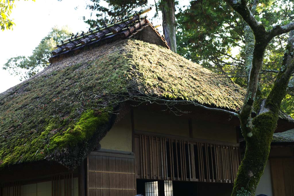 fotografia, material, livra, ajardine, imagine, proveja fotografia,YUKA no Pavilho Kinkakuji, Herana mundial, Pavilho dourado, Ch, Kyoto