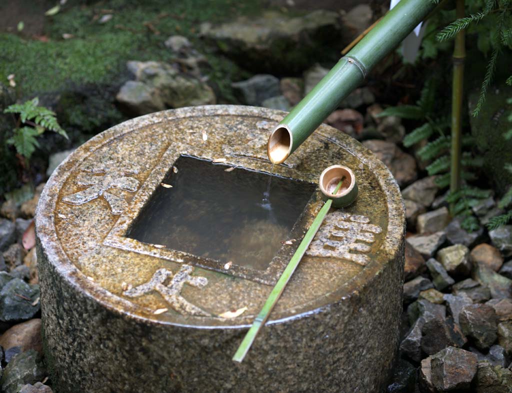 photo,material,free,landscape,picture,stock photo,Creative Commons,TSUKUBAI  in The Temple of the Peaceful Dragon, World Heritage, Tea ceremony, Mitokomon, Muromachi Shogunate