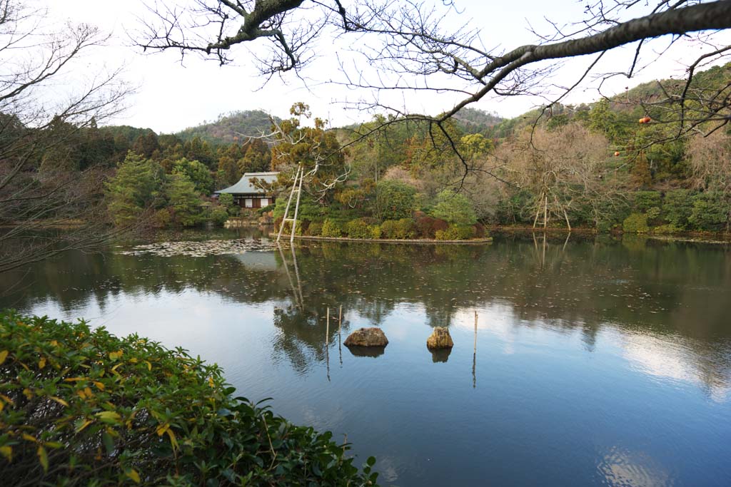 photo, la matire, libre, amnage, dcrivez, photo de la rserve,Problme miroir tang, Hritage Mondial, Surface d'eau, Le Village de noble, Muromachi Shogunate