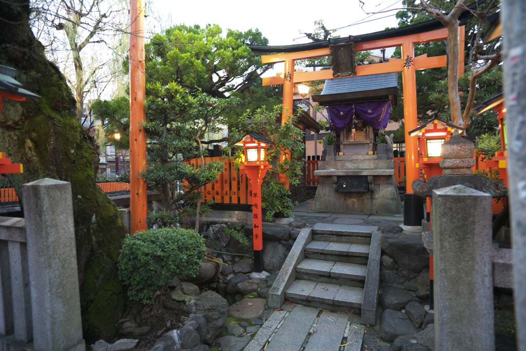 Foto, materiell, befreit, Landschaft, Bild, hat Foto auf Lager,Tatsumi DAIMYOJIN, Schrein, Waschbrenhund, Unterhaltung, Gion