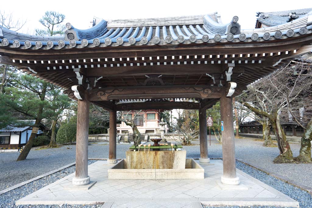 Foto, materiell, befreit, Landschaft, Bild, hat Foto auf Lager,Chionin Institut Waschen Hand, Buddhismus, HOUNEN, , Zentempel