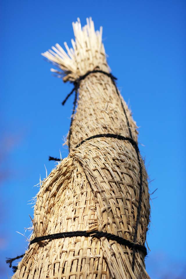 photo,material,free,landscape,picture,stock photo,Creative Commons,Como Roll, Arctic, Straw, Gardening, Garden tree