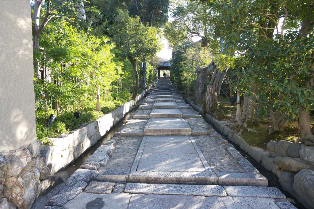 photo, la matire, libre, amnage, dcrivez, photo de la rserve,Kodaiji Temple approche, .., Inclinaison de cuisine, Mausole, Temple de la secte Zen