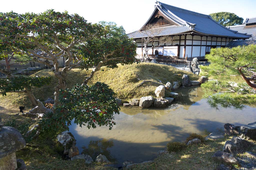 Foto, materieel, vrij, landschap, schilderstuk, bevoorraden foto,Kodaiji tempel tuinen, , , Volle maan eenheden, 