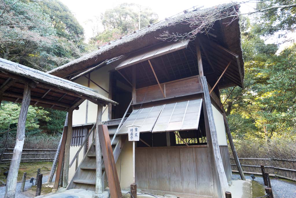 Foto, materiell, befreit, Landschaft, Bild, hat Foto auf Lager,Kodaiji Tempel Pavillon drizzling, , Teezeremonie, Japanische Kultur, 