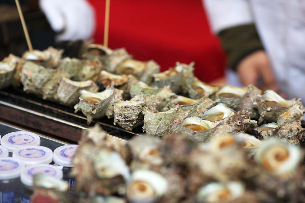 fotografia, materiale, libero il panorama, dipinga, fotografia di scorta,Turbante gusci di molluschi cotti nel proprio guscio bancarelle, Frutti di mare, Delizioso, Arrosto di pentola, Festivit