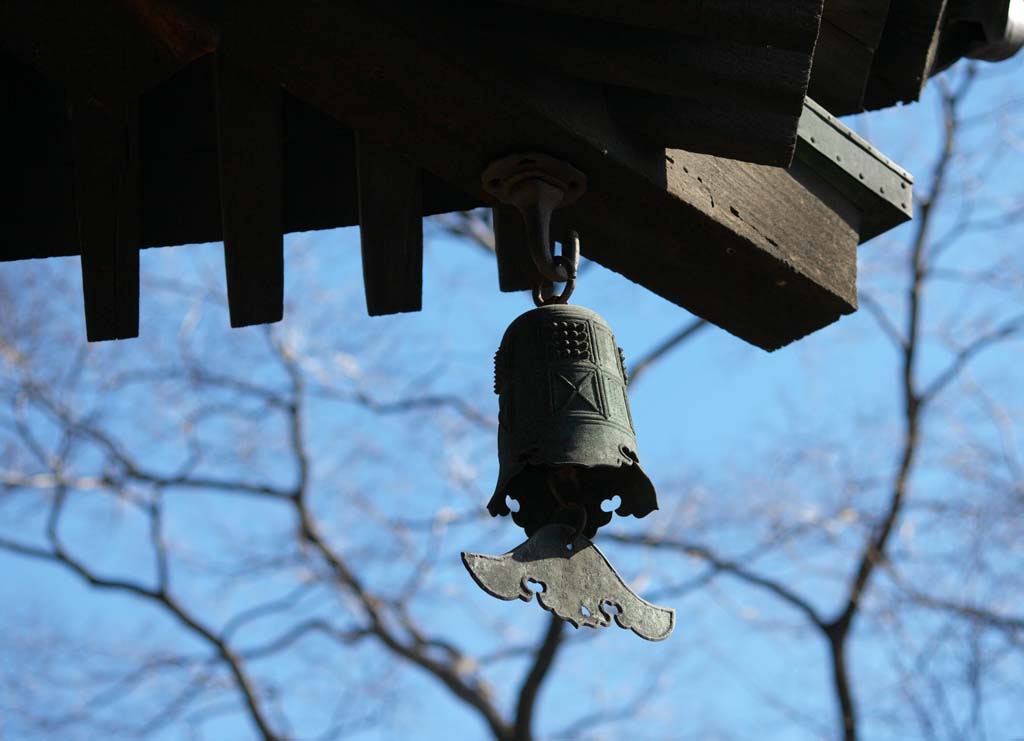 Foto, materieel, vrij, landschap, schilderstuk, bevoorraden foto,Wind Bell in het To-ji tempel, Boeddhisme, , Tempel klokje, 