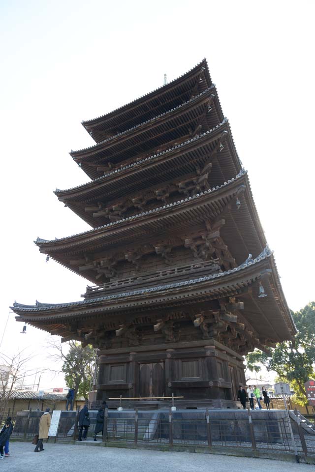 photo,material,free,landscape,picture,stock photo,Creative Commons,To-ji Temple five-story pagoda, Buddhism, Tower, World Heritage, Quintuple tower