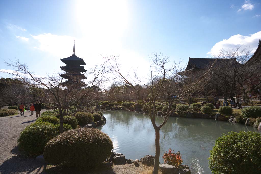 photo,material,free,landscape,picture,stock photo,Creative Commons,To-ji Temple, Buddhism, Tower, World Heritage, Quintuple tower