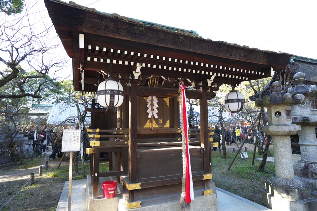 fotografia, materiale, libero il panorama, dipinga, fotografia di scorta,Tenman Kitano-gu santuario della Hukube, Torii, Sig.. TENJIN, Kitano, Susine