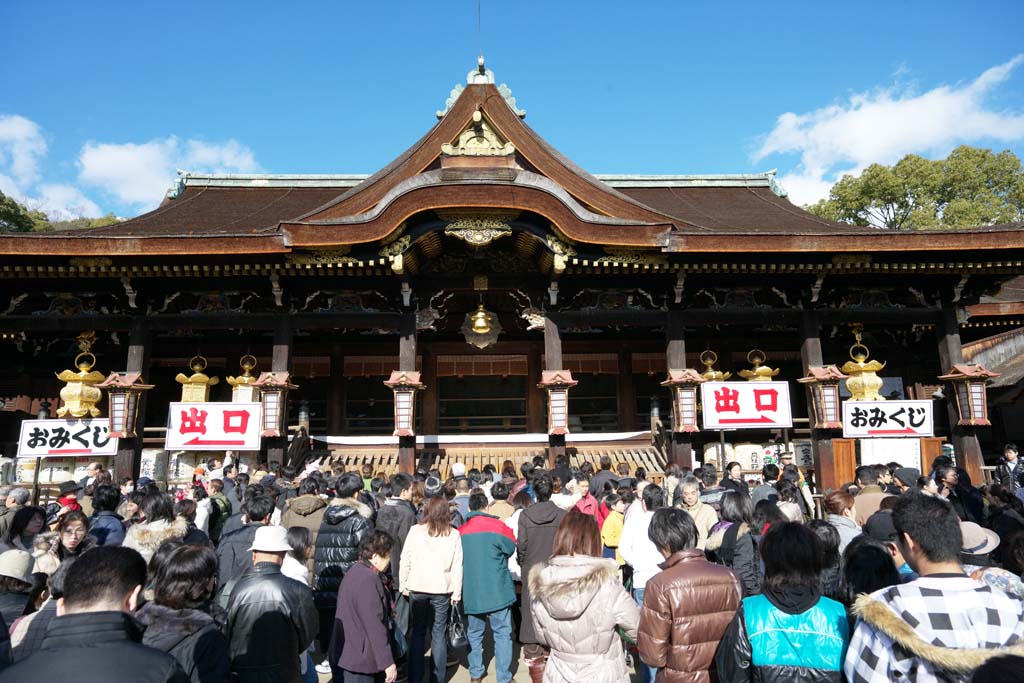 photo,material,free,landscape,picture,stock photo,Creative Commons,Kitano Tenman-gu shrine main hall, Momoyama architecture, Mr. TENJIN, Kitano, Plums