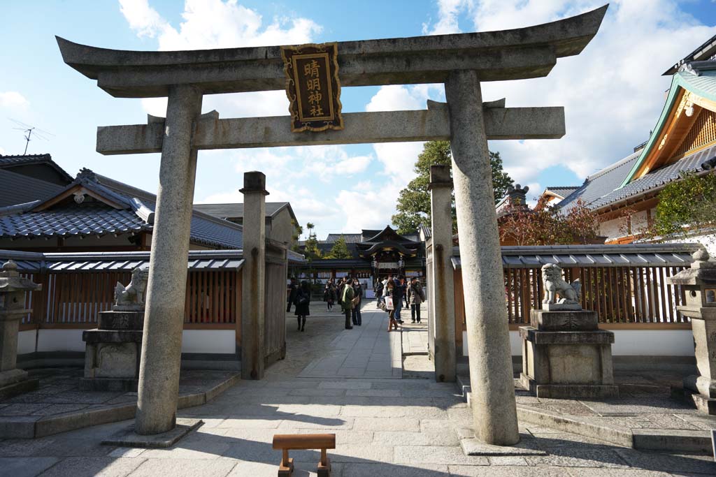 photo,material,free,landscape,picture,stock photo,Creative Commons,Seimei Shrine, Torii, Theory of Yin-Yang and the five elements, Onmyoji, Pentagram