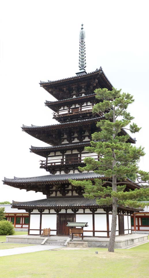 Foto, materieel, vrij, landschap, schilderstuk, bevoorraden foto,Yakushi-ji Tempel naar het oosten rijzen, Ik word in rood geschilderd, De Boeddha van De heling, Boeddhist mannenklooster, Chaitya