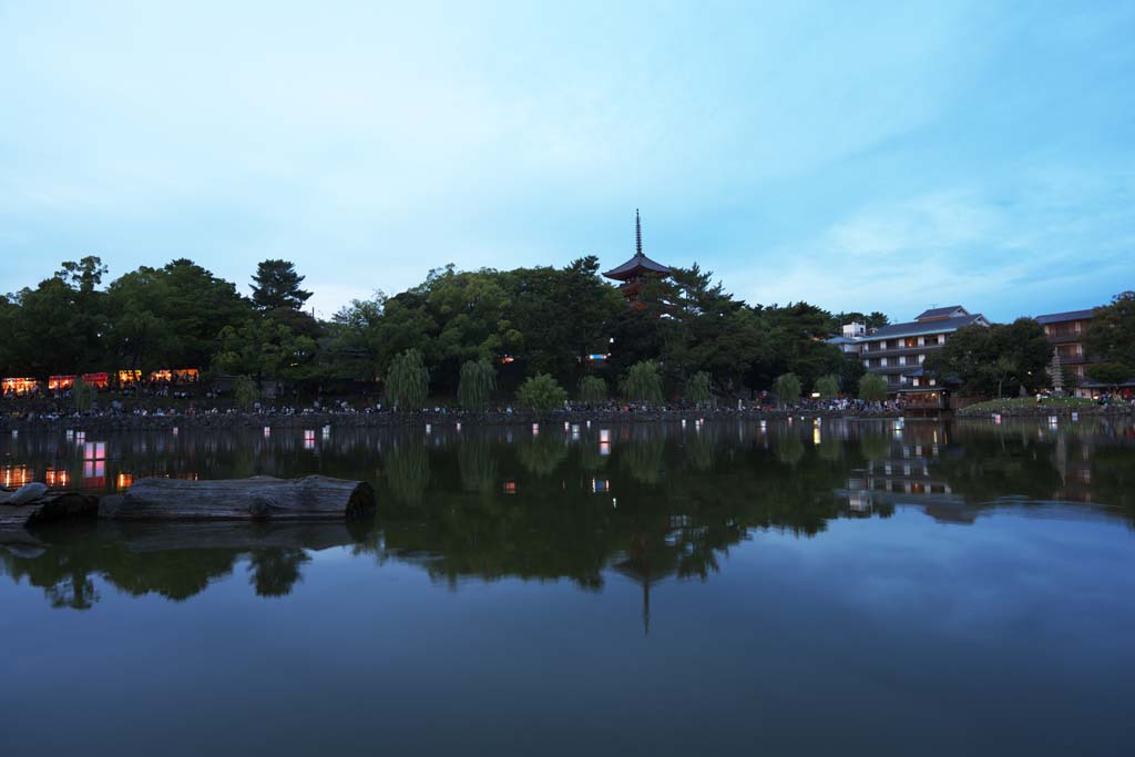 Foto, materiell, befreit, Landschaft, Bild, hat Foto auf Lager,Ein Teich von Sarusawa, Weide, Teich, Nara-koen-Park, Touristenattraktion