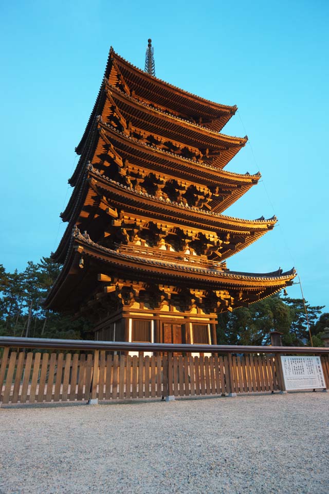 fotografia, materiale, libero il panorama, dipinga, fotografia di scorta,Tempio di Kofuku-ji cinque pagoda di Storeyed, Buddismo, edificio di legno, Cinque pagoda di Storeyed, eredit di mondo