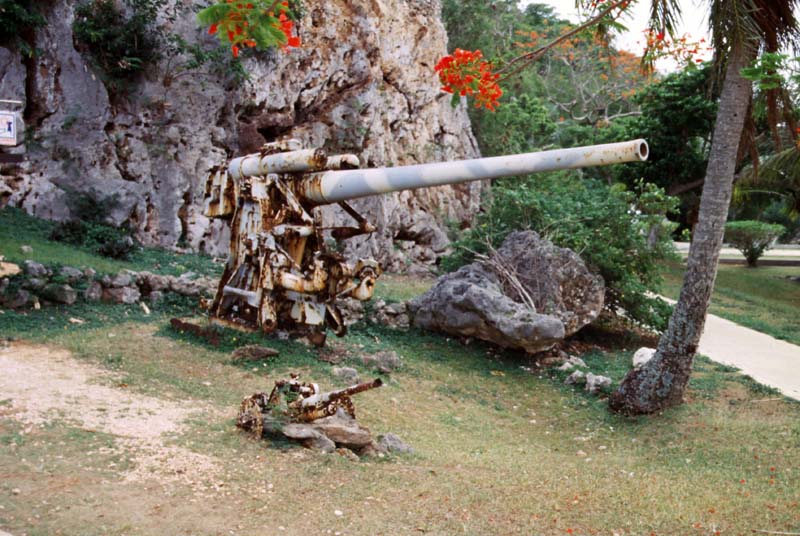 fotografia, materiale, libero il panorama, dipinga, fotografia di scorta,Albero decaduto, armi, ruggine, guerra, 