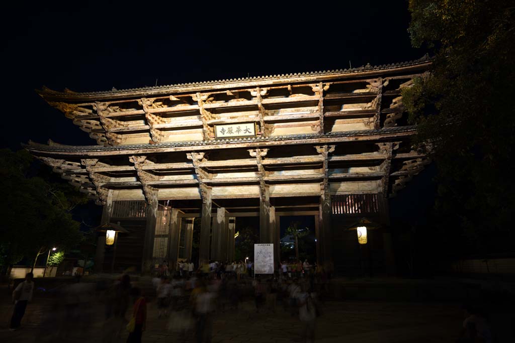 photo,material,free,landscape,picture,stock photo,Creative Commons,Nandaimon Higashiooji, The Hall of the Great Buddha, great statue of Buddha, I light it up, Chaitya