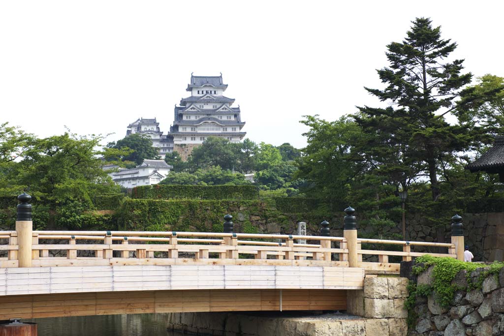 fotografia, materiale, libero il panorama, dipinga, fotografia di scorta,Himeji-jo il Castello, Quattro tesori nazionali Arroccano, Il ponte di cancello di albero ciliegio, Shigetaka Kuroda, Hideyoshi Hashiba