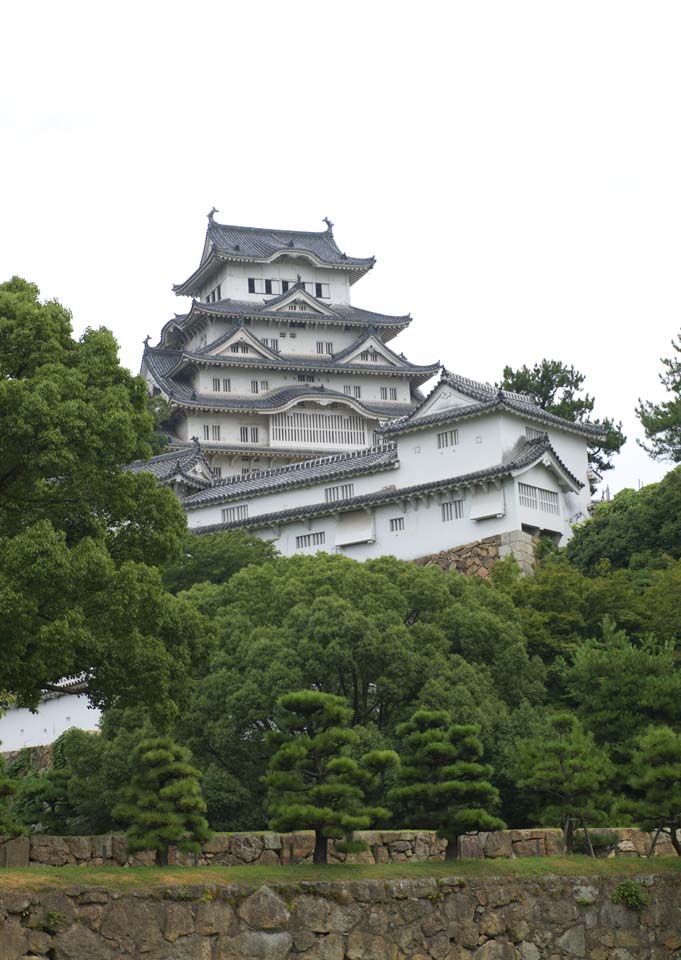 photo, la matire, libre, amnage, dcrivez, photo de la rserve,Himeji-jo Chteau, Quatre Chteau des trsors national, La tour de chteau, Shigetaka Kuroda, Hideyoshi Hashiba