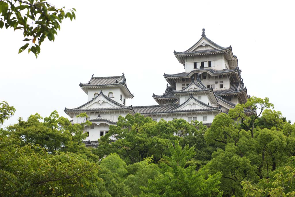 fotografia, material, livra, ajardine, imagine, proveja fotografia,Himeji-jo Castelo, Quatro Castelo de tesouros nacional, Sadanori Akamatsu, Shigetaka Kuroda, Hideyoshi Hashiba