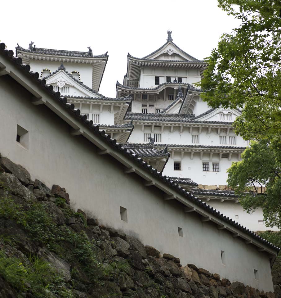 Foto, materiell, befreit, Landschaft, Bild, hat Foto auf Lager,Himeji-jo Burg, Vier nationale Schtze-Burg, Sadanori Akamatsu, Shigetaka Kuroda, Hideyoshi Hashiba