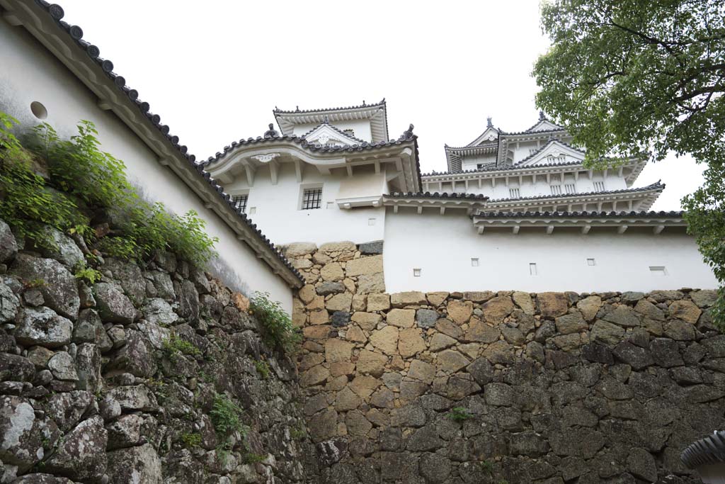 foto,tela,gratis,paisaje,fotografa,idea,Himeji - Castle de jo, Cuatro tesoros nacionales Castle, Sadanori Akamatsu, Shigetaka Kuroda, Hideyoshi Hashiba